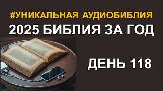 День 118.  Библия за год.  Библейский ультрамарафон портала «Иисус»