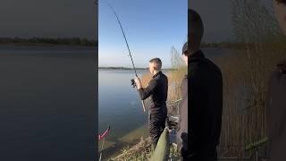 Кто к нам на обучение? #рыбалка #беларусь #fishing #рыба #трилеща