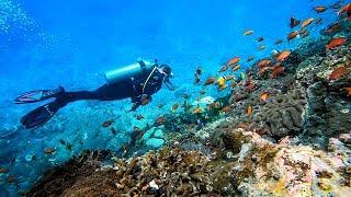 SCUBA DIVING NUSA PENIDA, MAU LAGI DAN LAGI!