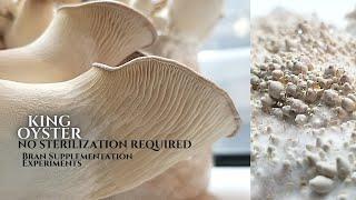 KING OYSTER GROW (Fresh Fungi Strain), Pasteurized HWFP with Bran Supplementation Experiment