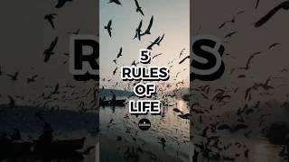 5 Rules Of Life | RiseUpInspire #shortsfeed #riseup #inspiration