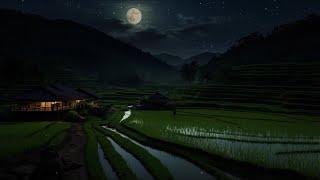 Tranquil Cricket Noise 11 Hours | Calming Ambience for Sleep, Meditation, and Relaxation