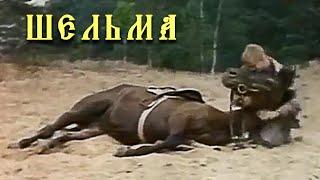 ШЕЛЬМА / Фильмы о лошадях