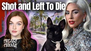 Dog Walker Almost MURDERED Trying To Protect Lady Gaga's Dogs