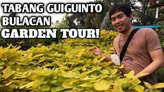 TABANG GUIGUINTO BULACAN GARDEN TOUR! Part 1 | Guiguinto Nursery Tour | Tabang Exit Garden & Nursery