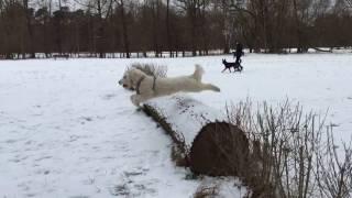 Milou jump e-garden Munich