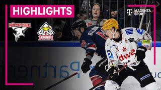 Kölner Haie - Pinguins Bremerhaven | PENNY DEL | MAGENTA SPORT