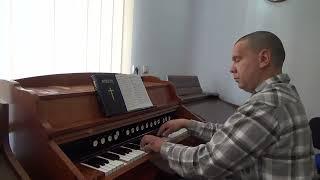 Sweet Hour Of Prayer | Organist Bujor Florin Lucian playing on Romanian Reed Organ