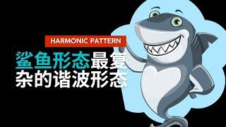 【谐波理论】鲨鱼形态——最复杂的谐波形态（二）The most complex harmonic patterns