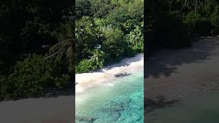 Anse Major  #seychelles #traveltips #seychellestravel #beachvibes #droneshot #mahe #beachlife