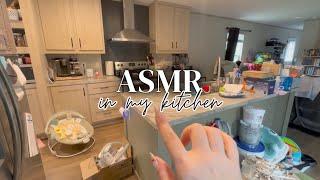 ASMR in my new single wide trailers kitchen 