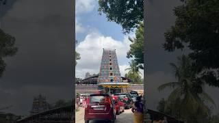 2000 సంవత్సరాలు చరిత్ర..|Jubilee Hills Peddamma Temple #peddammatemple #shorts #viralvideo #reels