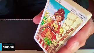 ACUARIO 1 AL 31 DE ENERO 2024 ::: HORÓSCOPO DE HOY TAROT