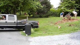 Extreme Dangerous Tree Cutting Fails With Chainsaw - Amazing Car Tree Stump Puller In Action