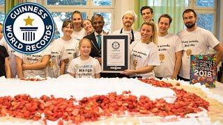 Therese Lindgren's largest vegan cake - Guinness World Records Day