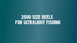 Is it illegal to use 2500 size reel for Ultralight fishing? It doesn't matter!