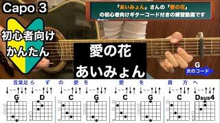 愛の花/あいみょん/ギター/コード/弾き語り/初心者向け/簡単