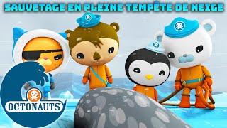 Octonauts - ️ Sauvetage en pleine tempête de neige ️ | Compilation |  Dessins animés pour enfants