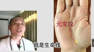 手上有元宝纹，一生财运不愁