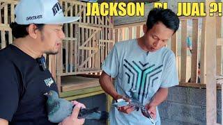 MERPATIKU JACKSON MAU DI TAKE OVER KE KANDANG NEW RAMPOK ?!