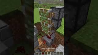 AUTO EXCLUSIVE DOOR | MINECRAFT