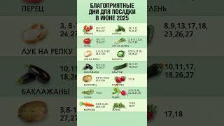 ЛУННЫЙ ПОСЕВНОЙ КАЛЕНДАРЬ | БЛАГОПРИЯТНЫЕ ПОСАДОЧНЫЕ ДНИ В ИЮНЕ 2025 | ПОСЕВНОЙ КАЛЕНДАРЬ НА ИЮНЬ