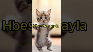 #shorts eritrean dance  #tigray #ethiofunny #eritrea #habesha #ethiomemes #viral #funny #habesha