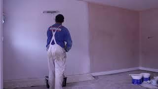 Top tips for painting new plaster walls with emulsion paint ( water based ).