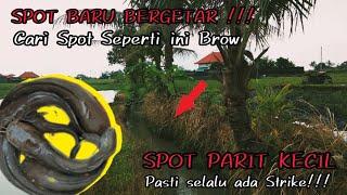 MICRO FISHING || SPOT IKAN LELE INI BERGETAR LAGI!!! MAKIN SORE SAMBARANYA MAKIN GANAS.