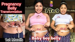 Pregnancy Belly Transformation/Baby Boy Bump Week by Week Growth Transformation 