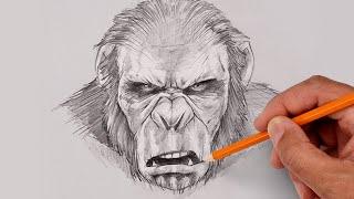 How To Draw Koba | Planet of the Apes