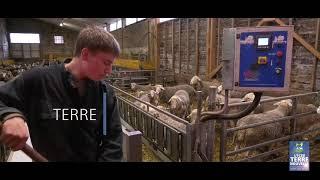 Lycée d'enseignement agricole privé Terre Nouvelle - Marvejols - Lozère