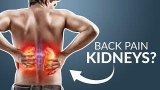 Could your back pain be KIDNEYS?