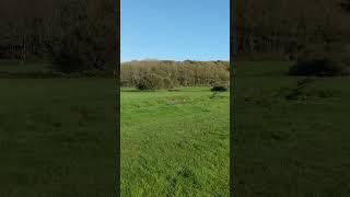 View near West Fleet House, Langton Herring, Dorset