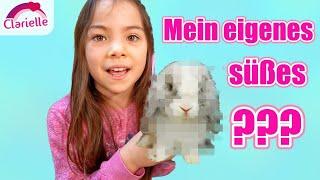 Mein Haustier | live pet Shopping Haul | Hamster Degu | Clarielle