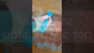 How to make chocolate bricks! Easy recipe!#shorts #subscribe #baking @FitwaffleKitchen