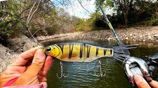 Buscando el Pez Más Grande del Lago! | Pesca con Señuelo Gigante