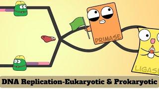 Unveiling the Secrets of DNA Replication: Eukaryotic & Prokaryotic