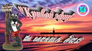 Прямая трансляция Сергей Сухумский️  - "Серый Волк"!