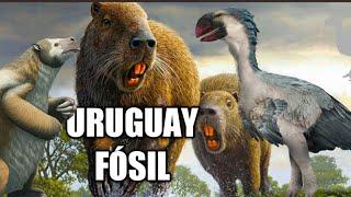  The most epic fossils of Uruguay !!! Josephoartigasia, the largest rodent in the world! 