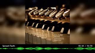 Simon Posford & Raja Ram - Improvisations for Piano & Flute [Full Album] (2024)