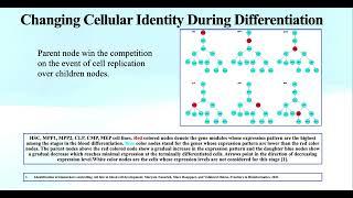 Biomarker Modelling Through Solving Primal-Dual... - Maryam Nazarieh - Poster - RSGDREAM 2023