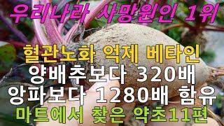 마트에서 찾은 산삼을 뛰어넘는 약초11편! 혈관청소부로 알려진 이것 꼭 챙기세요~