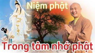 TRONG TÂM NHỚ PHẬT - NIỆM PHẬT #thaynhuanthinh