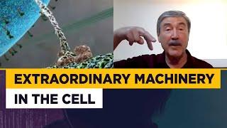 Paul Davies - the extraordinary machinery in our cells