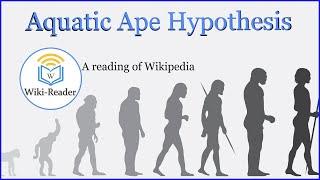 Aquatic Ape Hypothesis  Aquatic Ape Hypothesis Wikipedia Must Watch!- Wiki-Reader