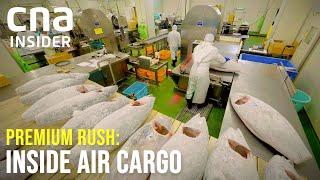 Inside An Air Cargo Hub: How Goods Flow Through Singapore | Premium Rush: Inside Air Cargo Singapore