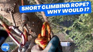 Basic tree climber tips: The benefits of using a short climbing rope & why good arborists use them