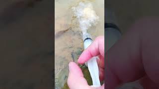 New Primitive Technology FISH TRAP with Fishing SR #short