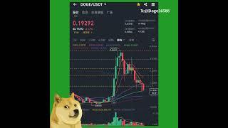 比特币和狗狗币每周技术分析(2025年3月4日) #狗狗币 #DOGE #dogecoin #BTC #Bitcoin